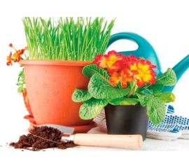 Удобрения для Комнатных Растений