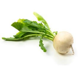 Редька, Репа, Дайкон