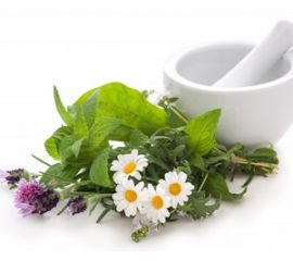 Лечебные травы