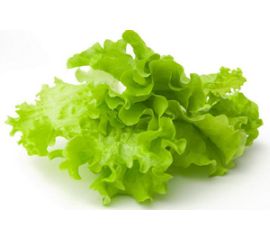 Салат, Рукола, Шпинат