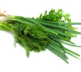 Укроп, Петрушка