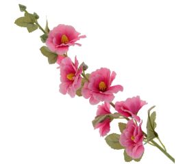 Мальва и Шток Роза