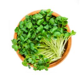 Микрозелень