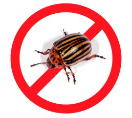 Защита от вредителей