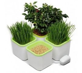 Проращиватели