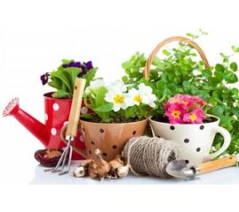 Кашпо и инвентарь для комнатных цветов