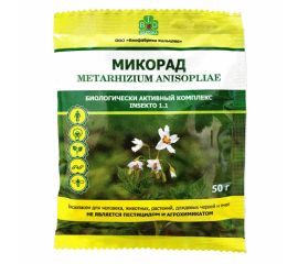 Комплекс грибов и бактерий