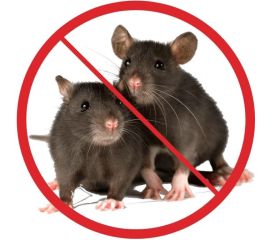 Защита от Грызунов