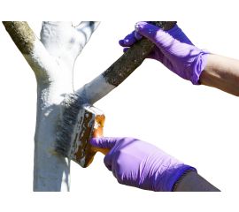 Защита Деревьев