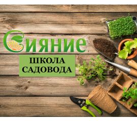 Природное земледелие