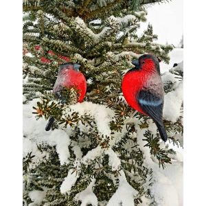 Снегири окр. 1+1