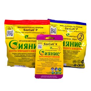 Сияние На Сезон