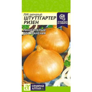 Лук Штуттгартер Ризен 1 гр. (Сем Алт)