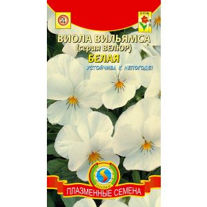 Виола вильямса (серия Велюр) Белая 10шт (Плазмас)