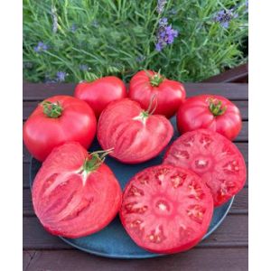 Томат Сызранский розовый крупный 20 шт (СамСем)