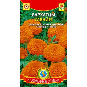 Бархатцы прямостоячие Гавайи (Плазмас)