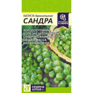 Капуста Брюссельская Сандра 0,5 гр (СемАлт)