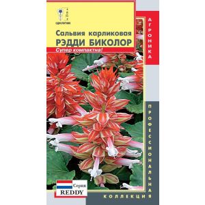 Сальвия карликовая Рэдди Биколор (красно-белая) (Плазмас)