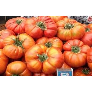 Томат Юсуповский красный 20 шт (СамСем)