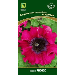 Петуния превосходнейшая Бордовая 10шт (Поиск)