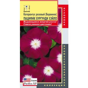 Катарантус розовый (Барвинок) Пацифик Бургунди Хэйло Плазмас