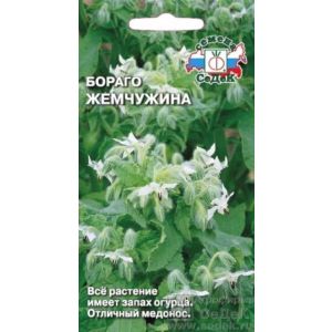 Бораго Огуречная трава Жемчужина 1гр (Седек)