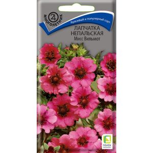 Лапчатка непальская Мисс Вильмот 0,1гр (Поиск)