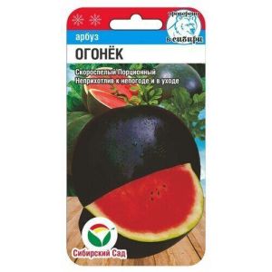 Арбуз Огонек 5шт (Сиб Сад)