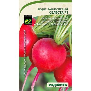 Редис Селеста F1 0,5гр Садовита