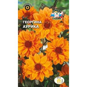 Георгина Аурика 0,2г (Седек)