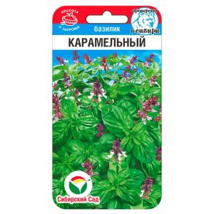 Базилик Карамельный 0,5гр (Сиб Сад)