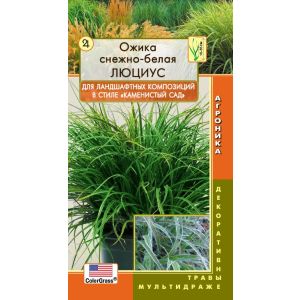 Ожика снежно-белая Люциус 3шт Плазмас