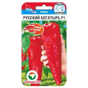 Перец РУССКИЙ БОГАТЫРЬ острый 10шт (Сиб Сад)