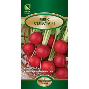 Редис Селеста F1 2гр (Поиск)
