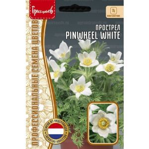 Прострел Pinwheel White 3шт (ГР)