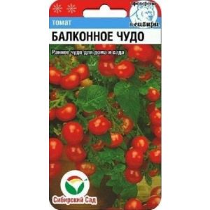 Томат Балконное чудо 20 шт (Сиб сад)