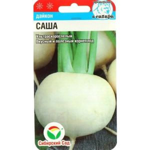 Дайкон Саша 1г (Сиб Сад)