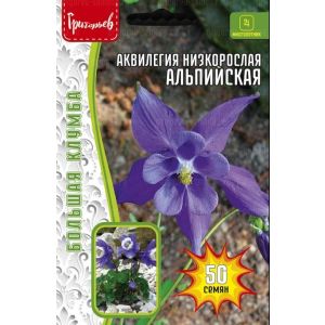 Аквилегия Альпийская низкорослая 50шт. (ГР)