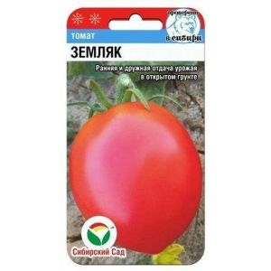 Томат Земляк 20 шт (Сиб сад)