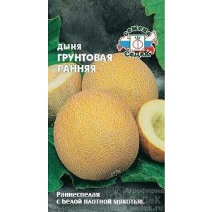 Дыня Грунтовая ранняя 0,5гр Седек