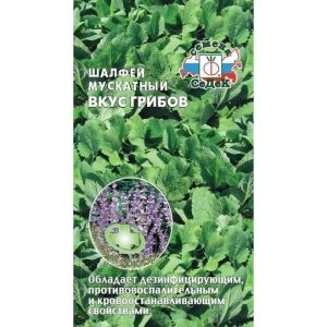 Шалфей мускатный Вкус грибов 0,1г (Седек)