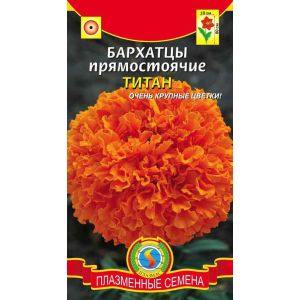 Бархатцы прямостоячие Титан 45шт (Плазмас)