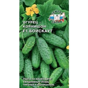 Огурец Бойскаут F1 0,3г (Седек)