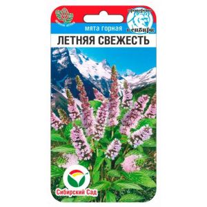 Мята Летняя свежесть 0,04гр (Сиб Сад)