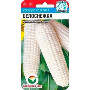 Кукуруза Белоснежка 10шт (СибСад)