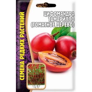 Цифомандра Тамарилло (Томатное дерево) 5шт (ГР)