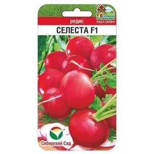 Редис Селеста 100 шт(Сиб Сад)