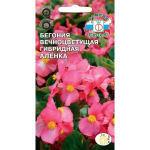 Бегония Аленка F1 (вечноцветущая, малиново-розовая) 0,1 г Седек