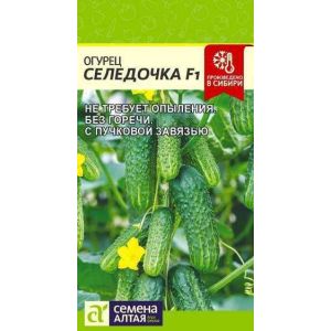 Огурец Селедочка F1 5 шт (СемАлт)