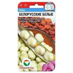 Бобы Белорусские белые 5шт (Сиб Сад)